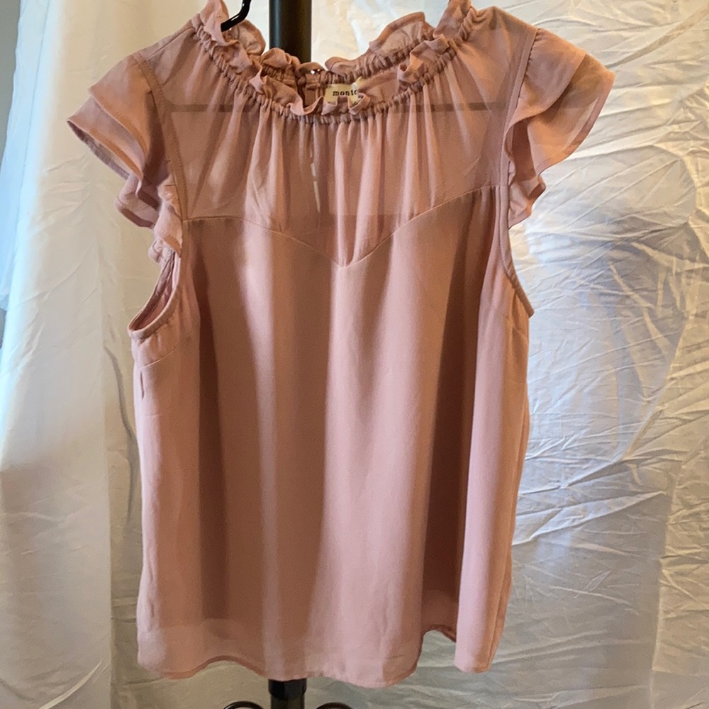 Blush blouse with sheer neck line and ripple cap sleeves.